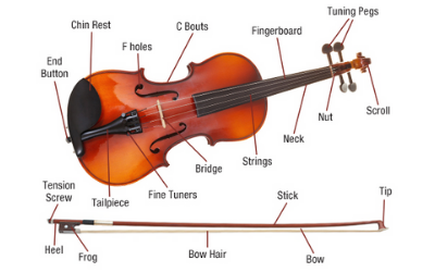 Partes de um violino - Aula de violino em Lisboa