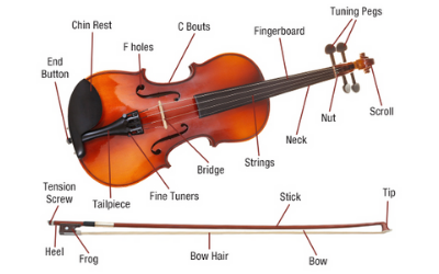 Violin parts diagram for violin lessons in Dublin Violin parts diagram for violin lessons in Dublin