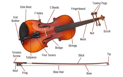 Violin parts diagram for violin lessons in Limerick